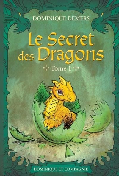 Le secret des dragons T.1