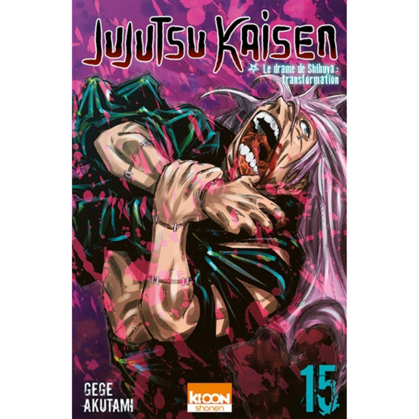 Jujutsu kaisen T.15: Jujutsu kaisen