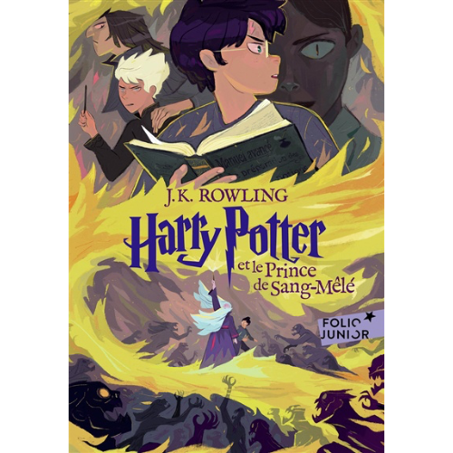 Harry Potter T.6 : Harry Potter et le prince de Sang-Mêlé