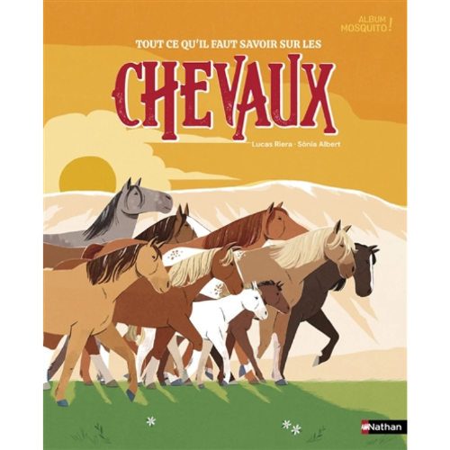 Tout ce qu'il faut savoir sur les chevaux