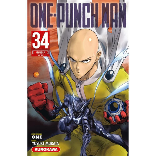 One-punch man T.34