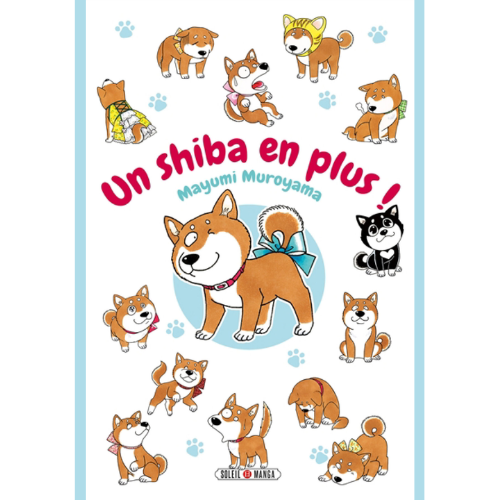 Un shiba en plus !