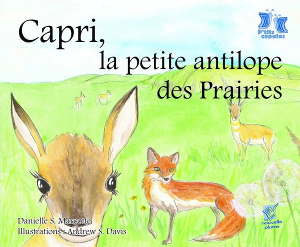 Capri, la petite antilope des Prairies