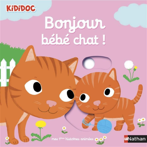 Bonjour bébé chat!