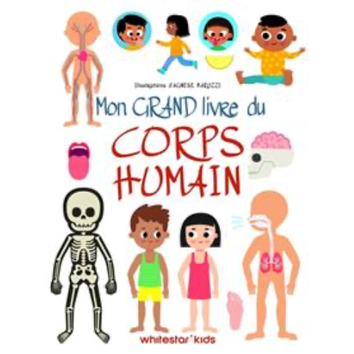 Mon grand livre du corps humain
