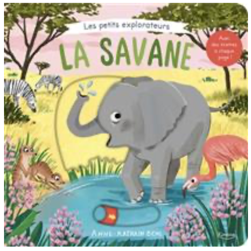 La savane