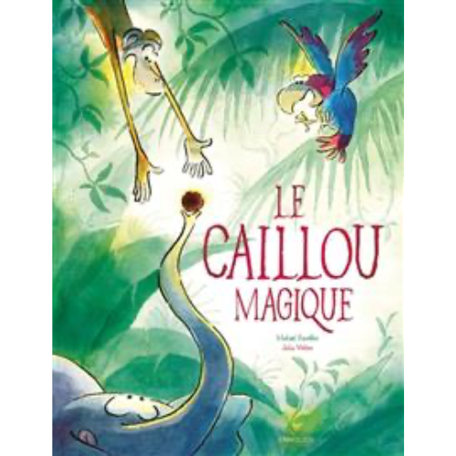 Le caillou magique