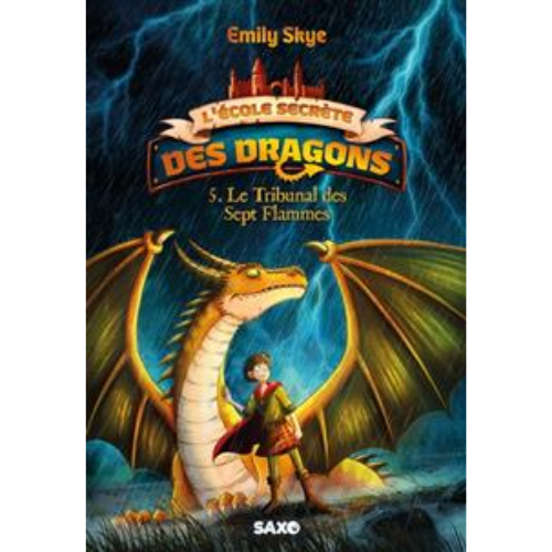 L'École Secrète des Dragons T.5 : Le tribunal des Sept Flammes