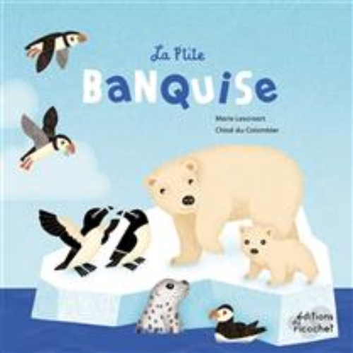 La p'tite banquise