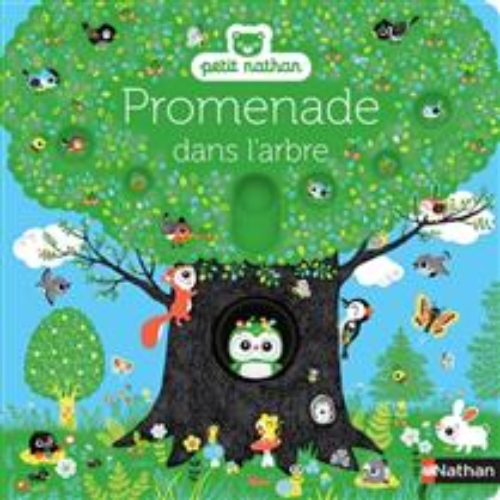 Promenade dans l'arbre