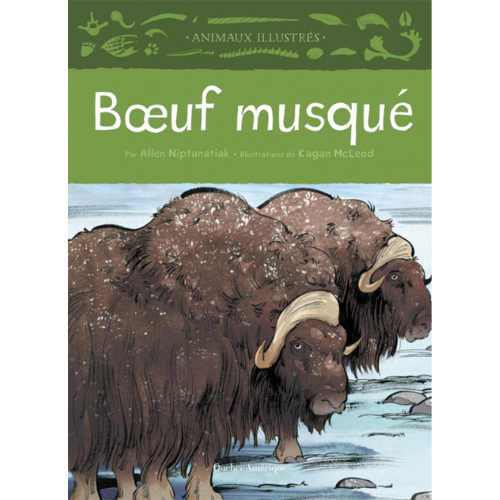 Boeuf musqué