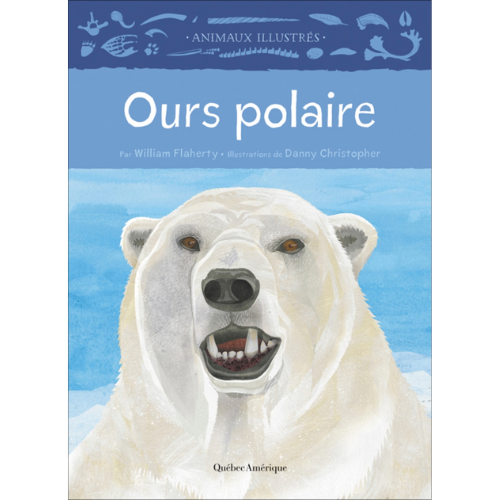 ours polaire