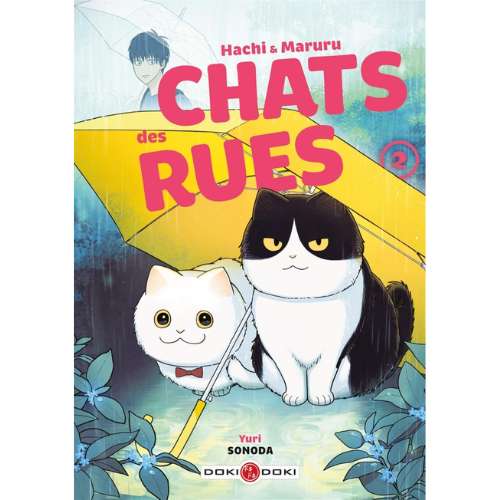 Hachi & Maruru : chats des rues T.2