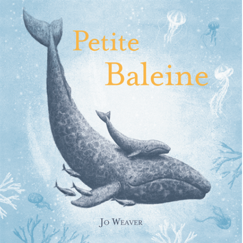 Petite baleine