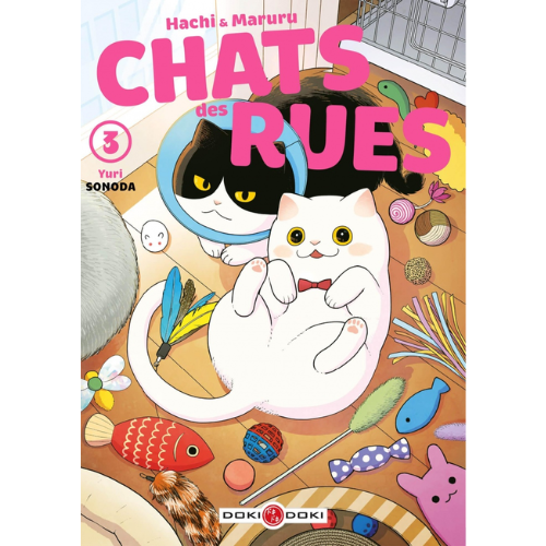 Hachi & Maruru : chats des rues T.3